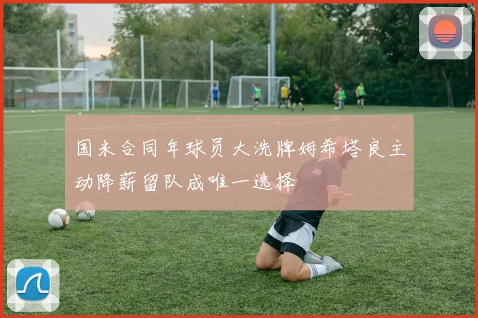 国米合同年球员大洗牌姆希塔良主动降薪留队成唯一选择